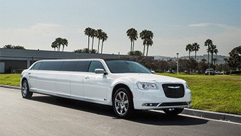 A white limo parked in the street near palm trees.