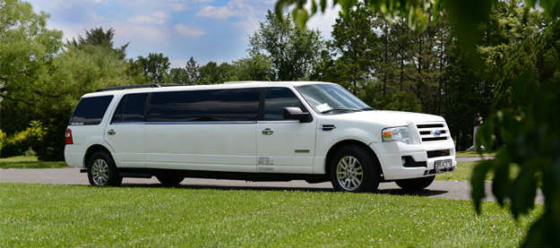 A white limo is parked in the grass.